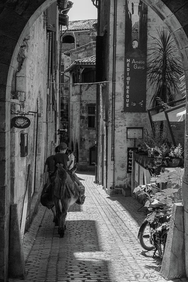 Un ane a la ville Photograph by Fabio Maimone