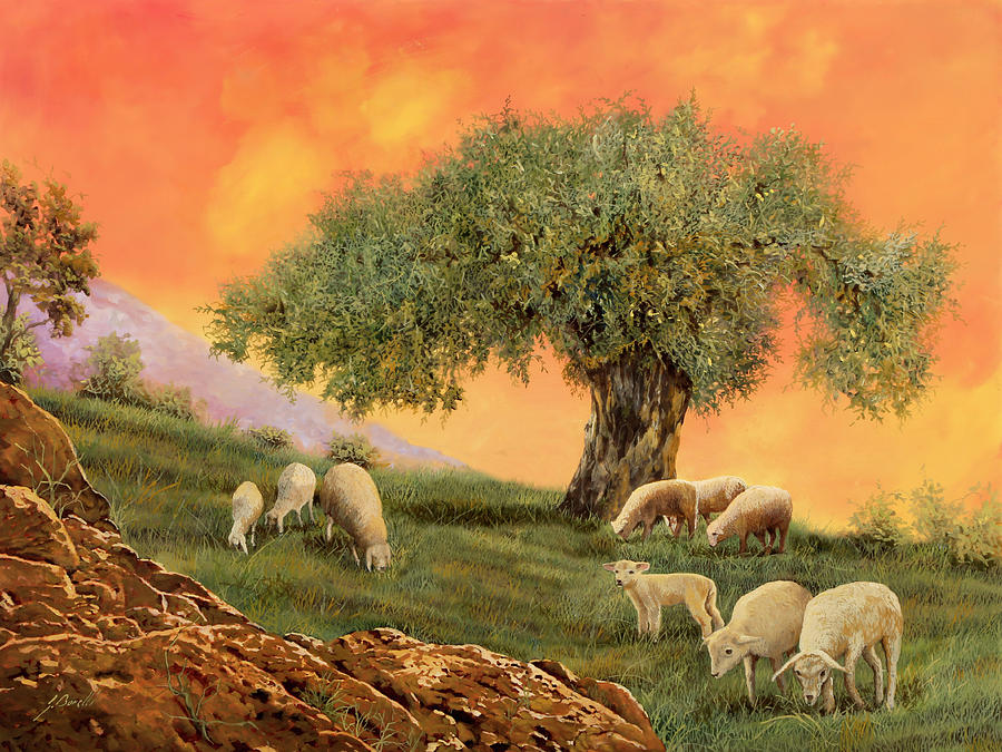 Sheep Painting - Un Po Di Pecore Sotto Lulivo by Guido Borelli