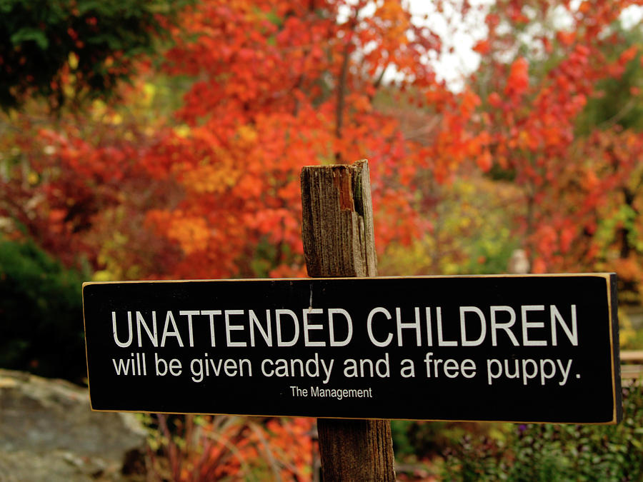 Unattended Children Photograph by Bill Gallagher