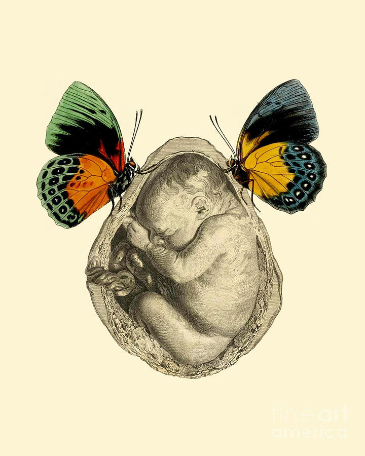 Butterfly Digital Art - Unborn Baby With Butterflies by Madame Memento