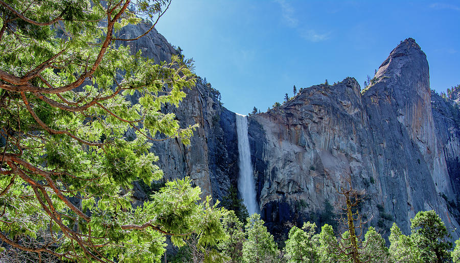 Unbridled Beauty of Yosemite Photograph by Marcy Wielfaert - Fine Art ...