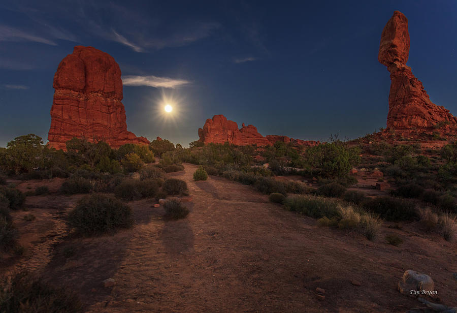 Desert Photograph - Under a Desert Moon by Tim Bryan