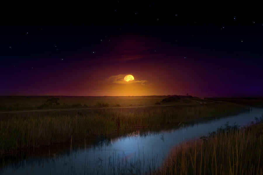 Under a Sawgrass Moon Photograph by Mark Andrew Thomas