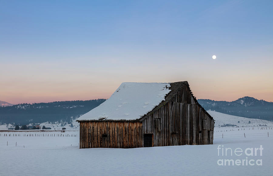 Winter Photograph - Under a Snow Moon by Idaho Scenic Images Linda Lantzy