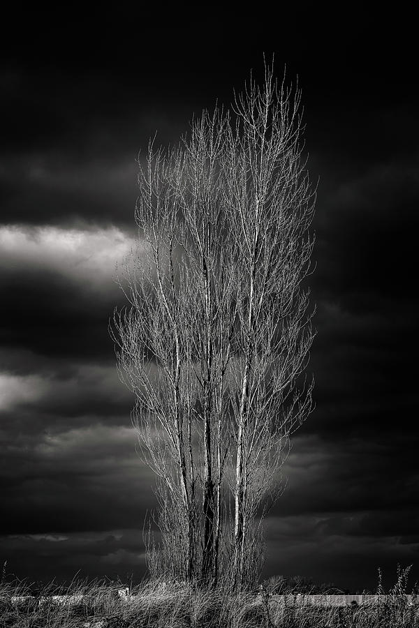 Under Dark Skies Photograph by Rich Kovach