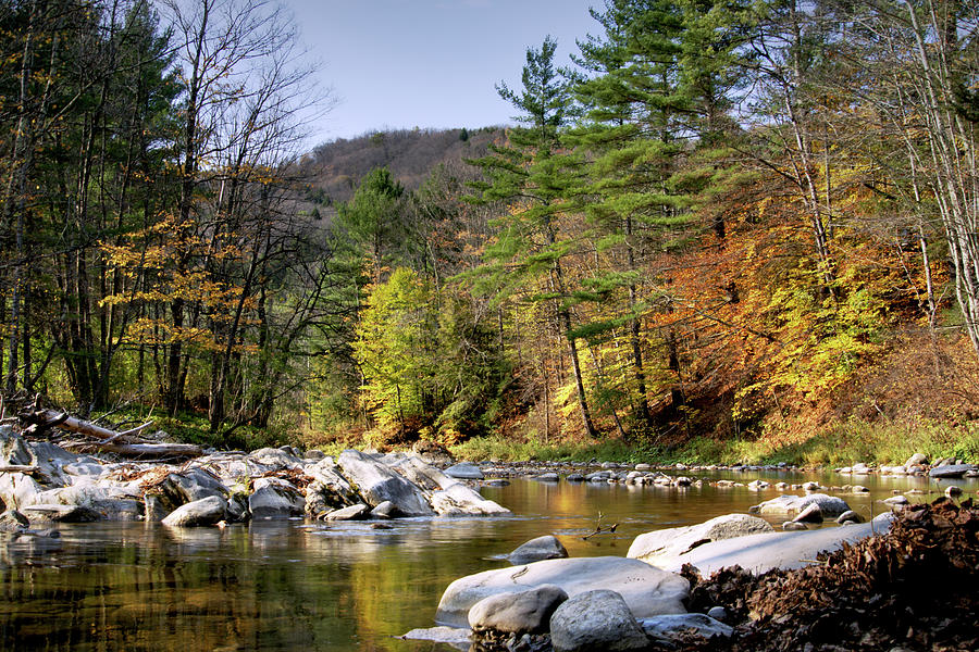 Under Moxley Covered Bridge Photograph by Daniel Brinneman