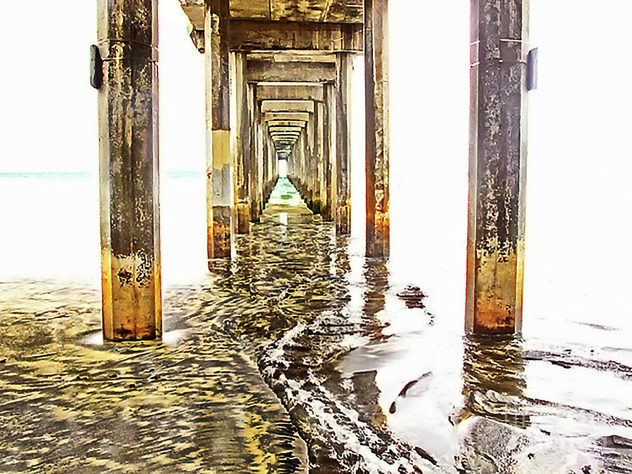 Under Scripps Pier Photograph by Ruth Jolly