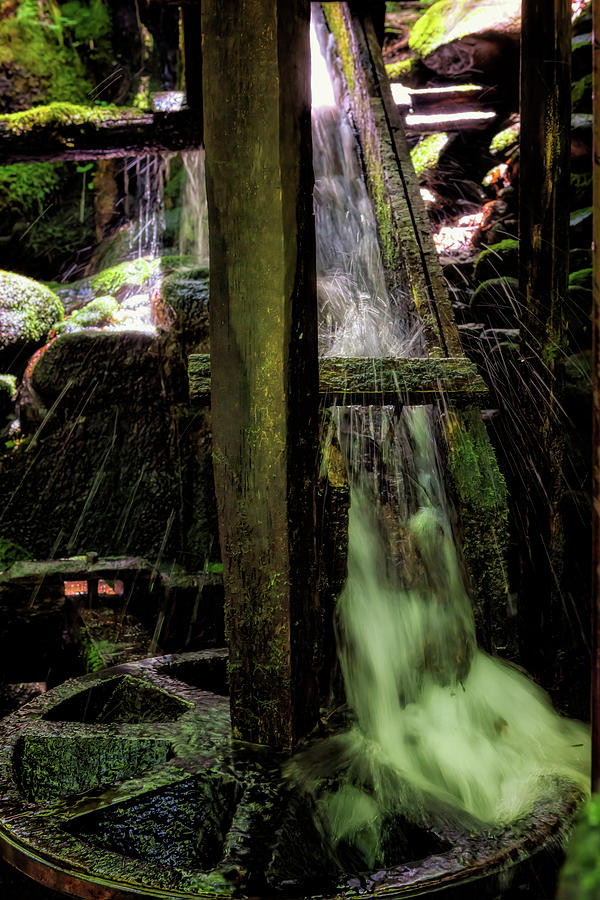 Under the Alfred Reagan Tub Mill - Smoky Mountains Photograph by Susan Rissi Tregoning