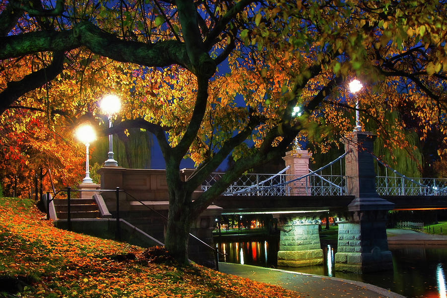 Under the Autumn Leaves - Boston Public Garden Photograph by Joann Vitali