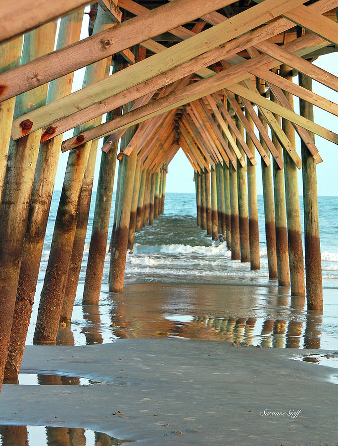 Nature Photograph - Under the Boardwalk II by Suzanne Gaff