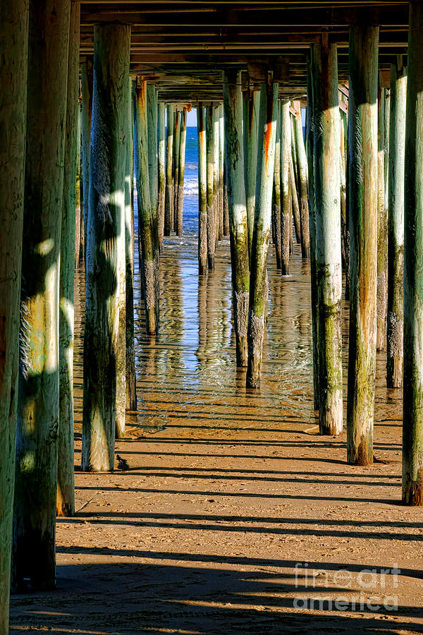 Under the Boardwalk Photograph by Olivier Le Queinec