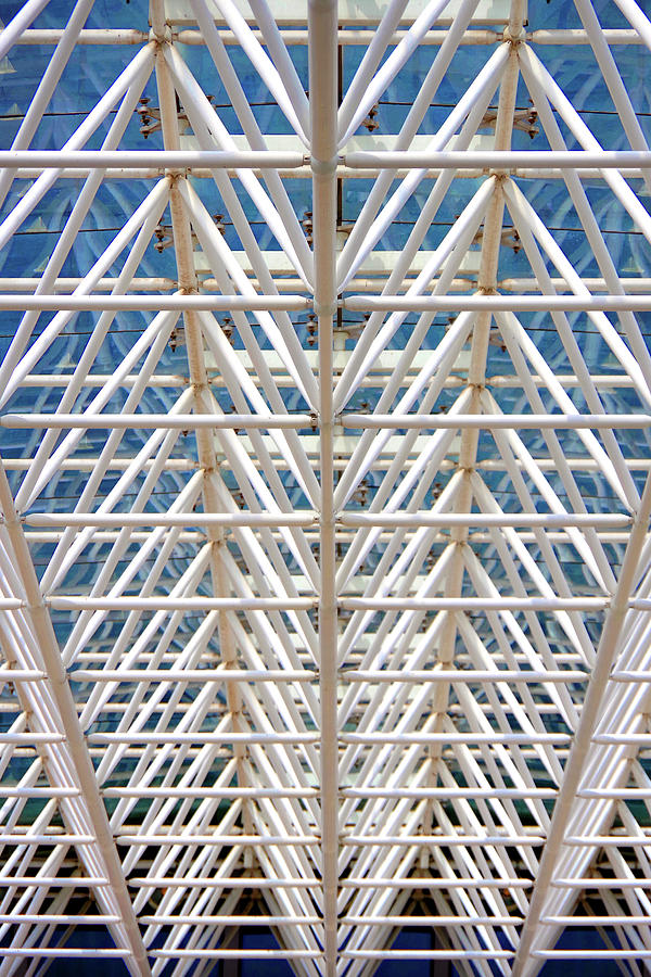 Architecture Photograph - Under The Canopy by Douglas Taylor