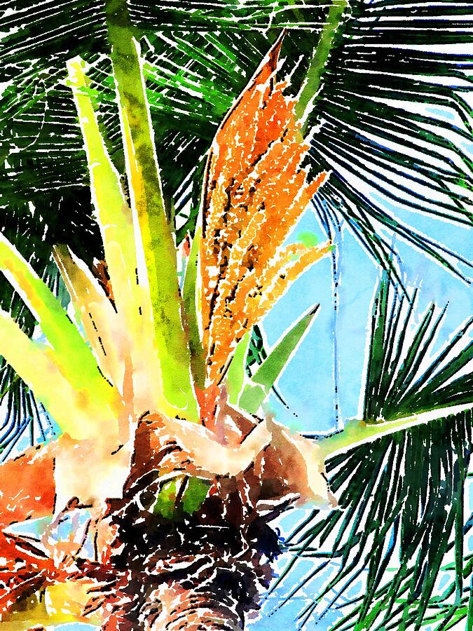 Under the Coconut Palm Photograph by Carlin Blahnik CarlinArtWatercolor