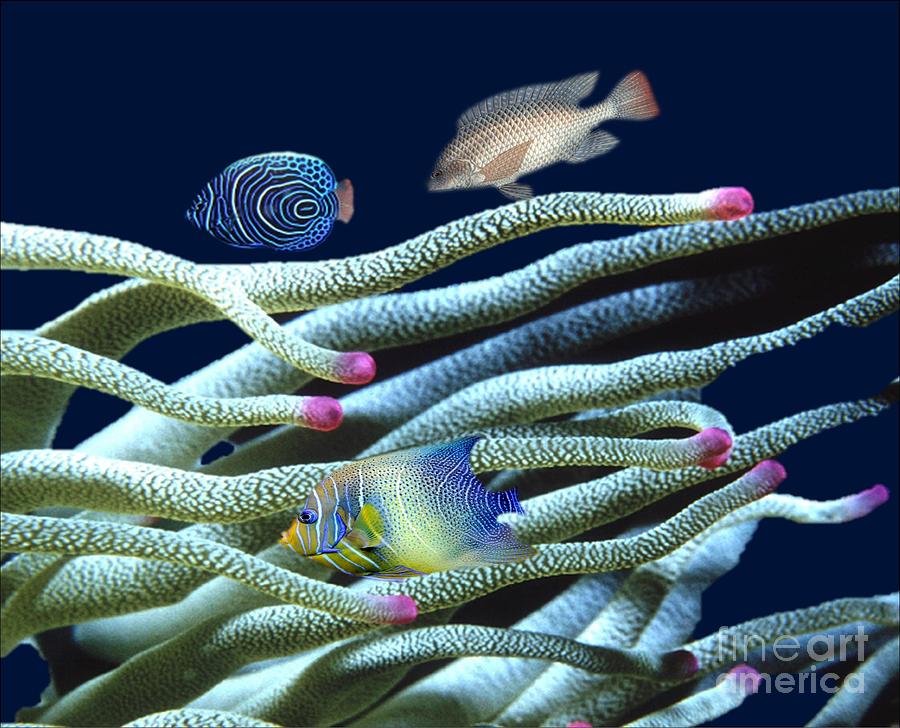 Under The Deep Deep Sea Digital Art