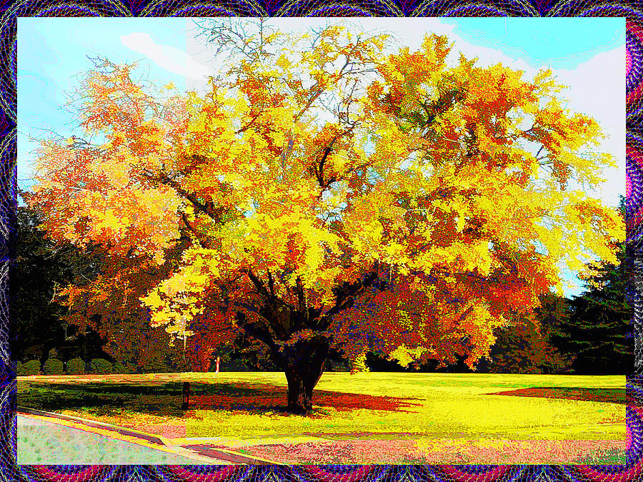 Under The Gingko Tree Digital Art by Rod Whyte