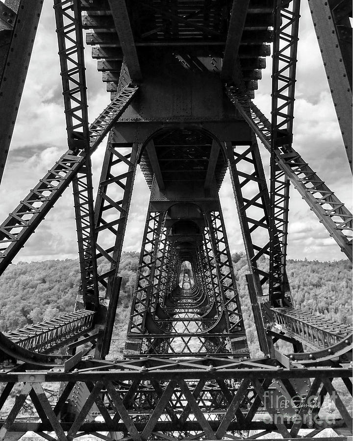 Under the Kinzua Bridge studio version Photograph by E B Schmidt