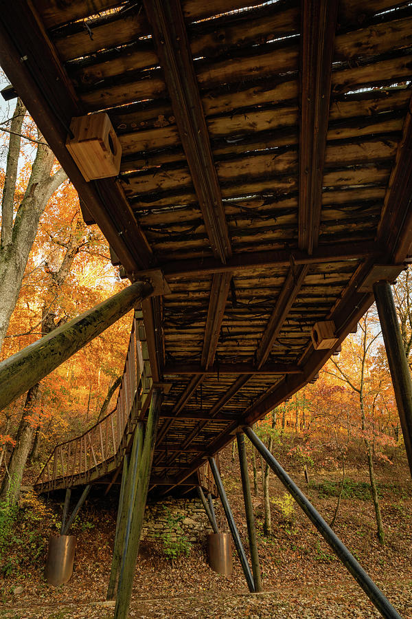 Fall Foliage Photograph - Under The North Gateway Bridge Of Coler Mountain Bike Preserve - Bentonville Arkansas by Gregory Ballos