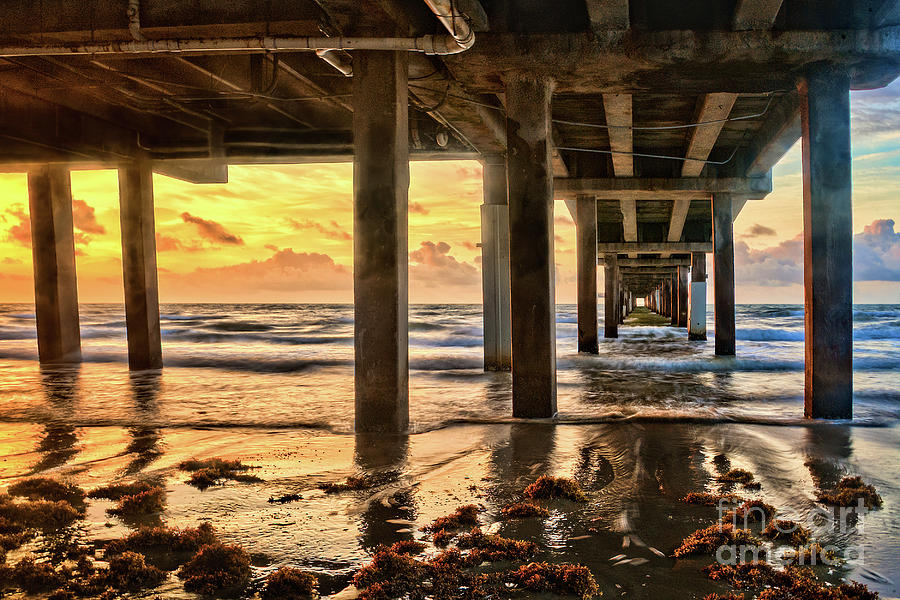 Under the Pier Photograph by Roxie Crouch