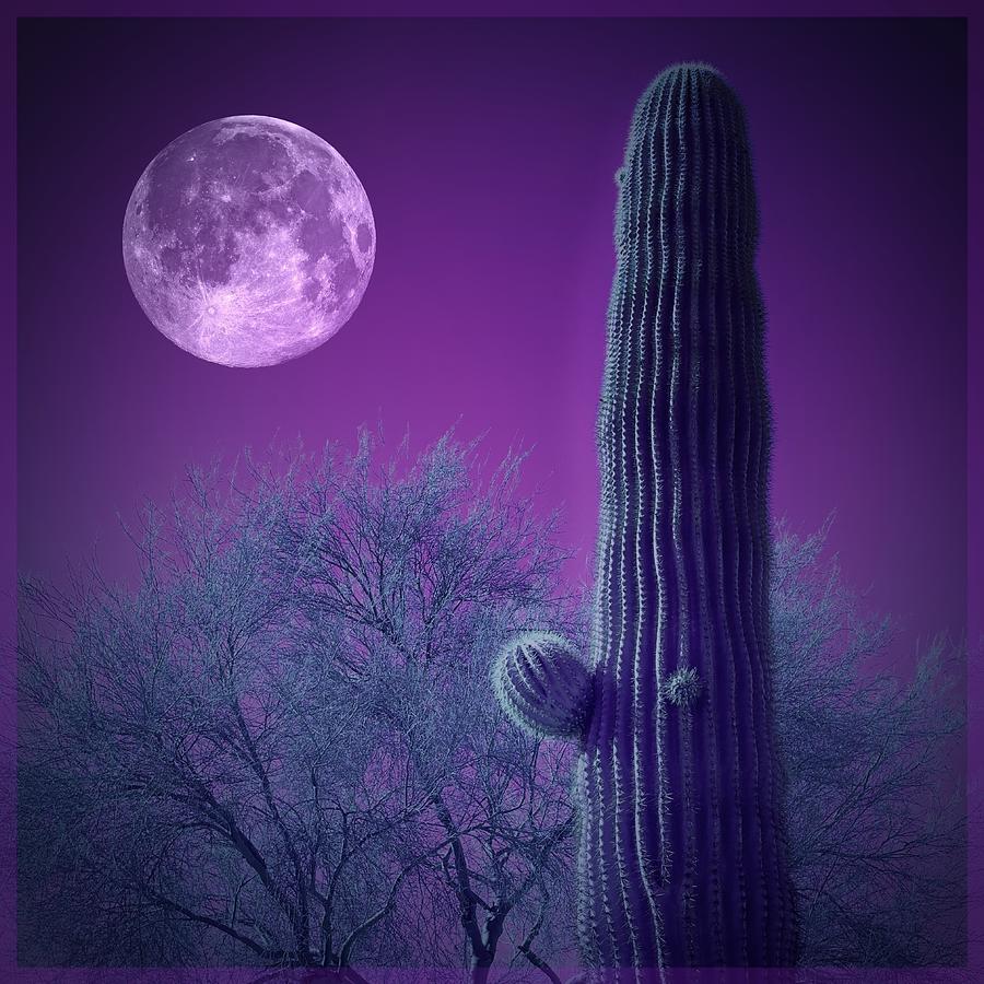 Desert Photograph - Under the Purple Moon by Barbara Zahno