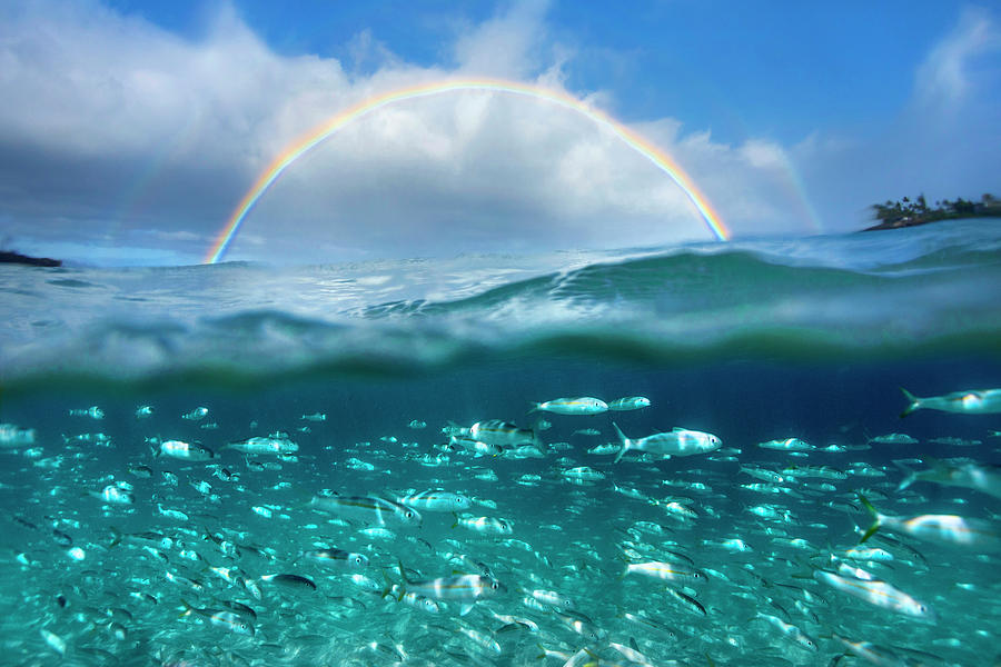 Inspirational Photograph - Under the Rainbow by Sean Davey