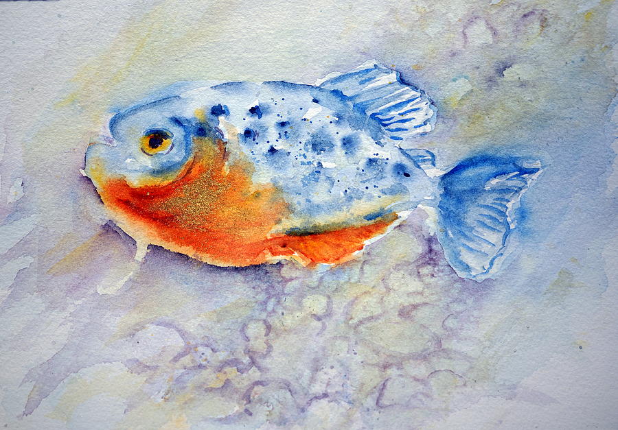 Under the Sea- Happy Fish Painting by Anna Jacke