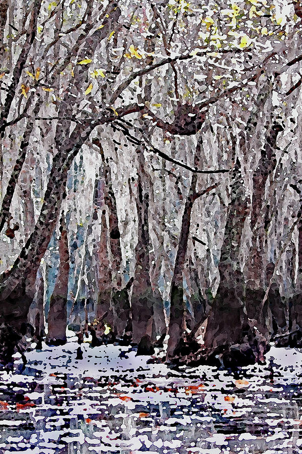 Under The Spanish Moss Canopy Photograph