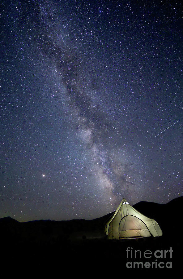 Under the Stars Photograph by Roxie Crouch