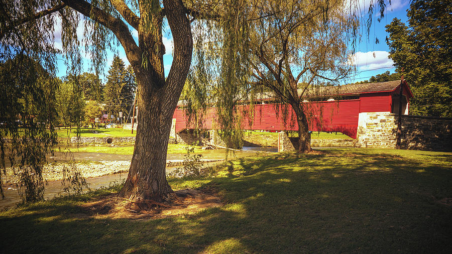 Under the Weeping Willow at Covered Bridge Park Photograph by Jason Fink
