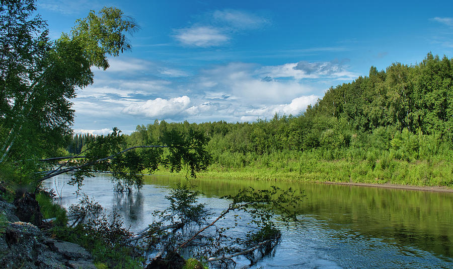 Undercut Riverbank - Chena River Photograph by Cathy Mahnke - Fine Art ...