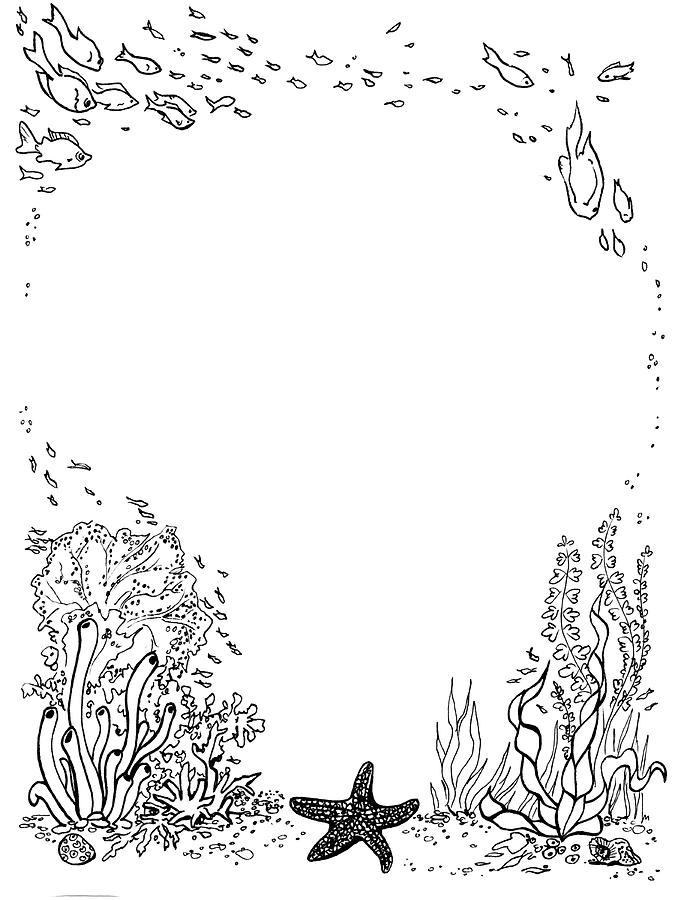 Undersea Garden Border Drawing by Katherine Nutt