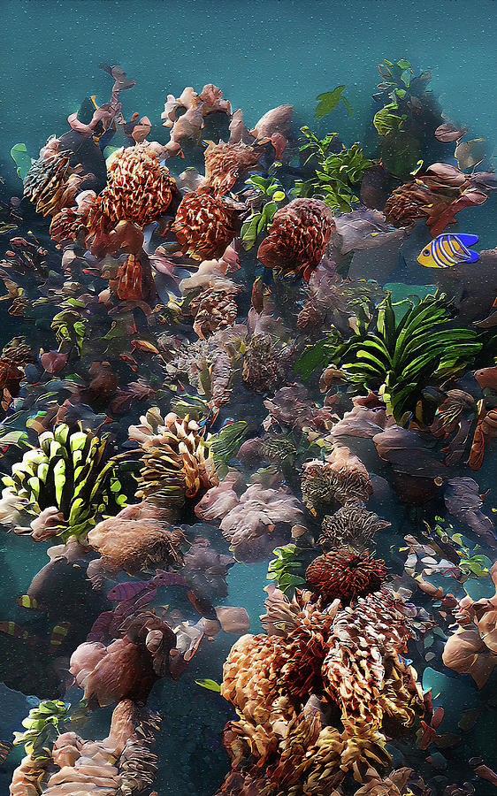 Undersea Reef Teems With Fish Digital Art by Deborah League