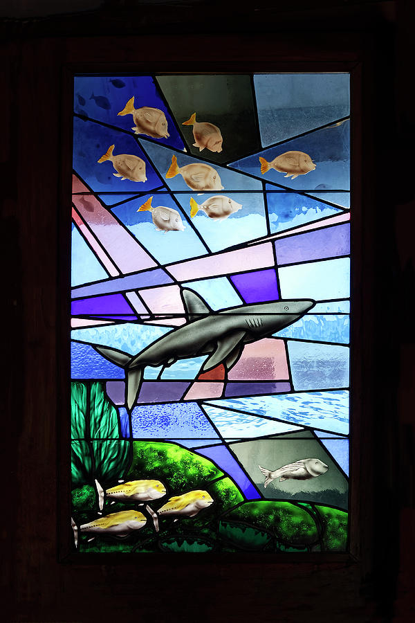 Undersea Stained Glass Photograph by Sally Weigand