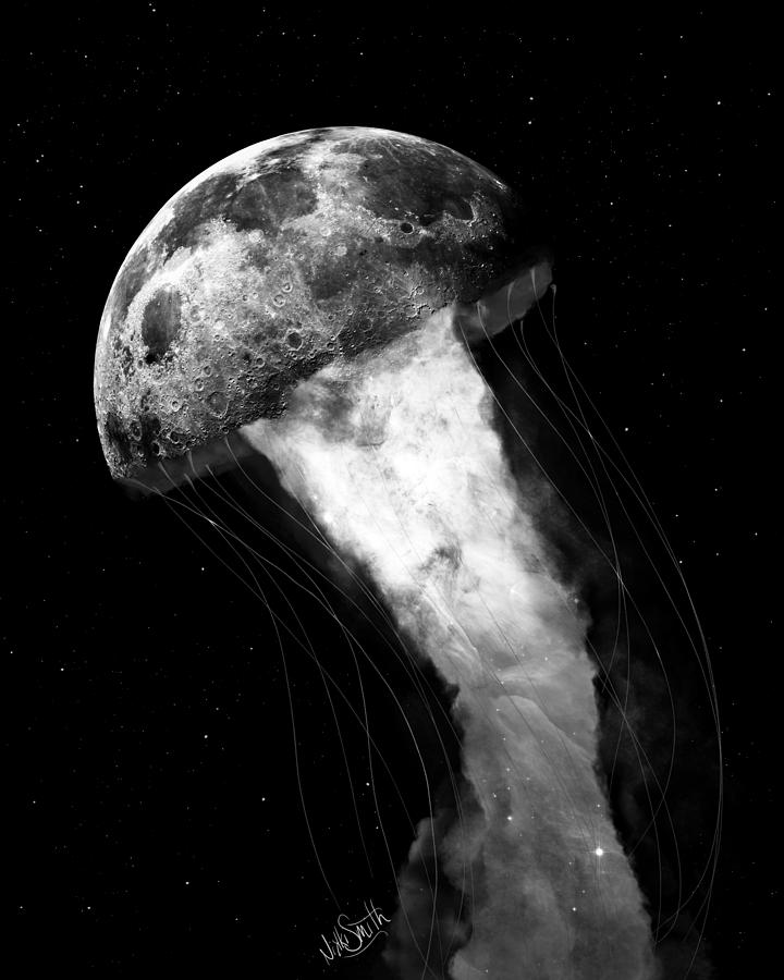 Underside of the Moon in Black and White Digital Art by Nikki Marie Smith