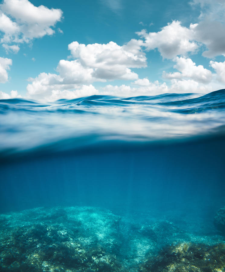 Underwater Photograph by Borchee