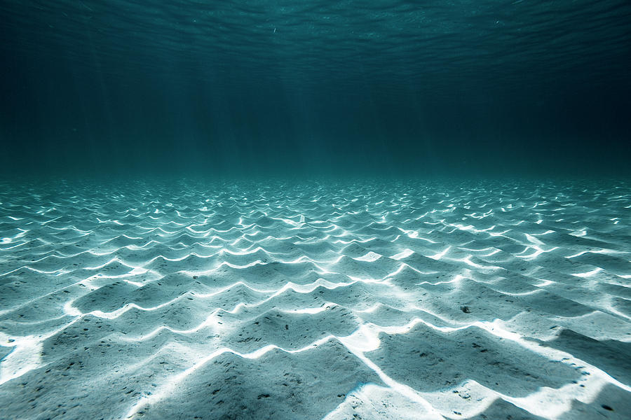 Underwater Desert Photograph by Emilio Lopez