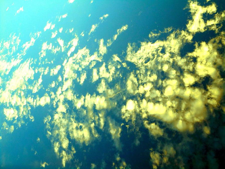 Underwater Photograph by Dietmar Scherf