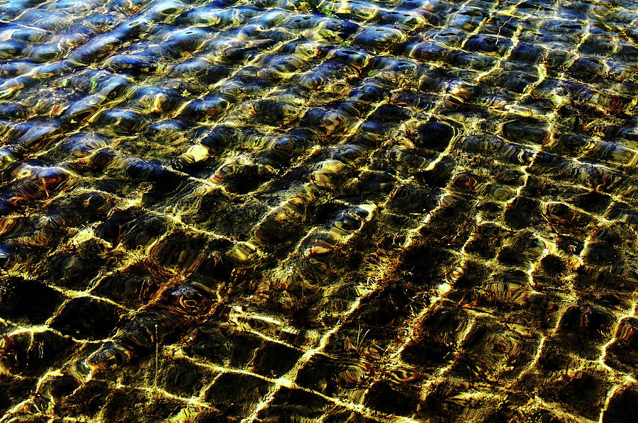 Underwater Grid  Photograph by Debbie Oppermann