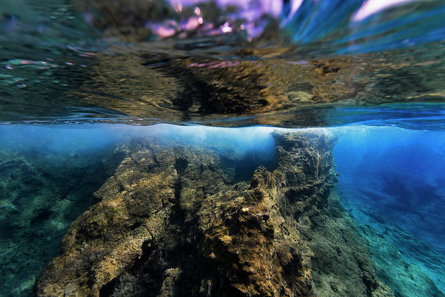 Underwater Landscape 2020-3 Photograph