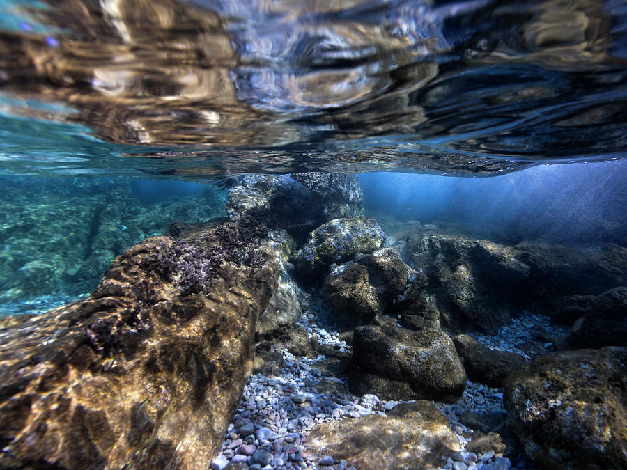 Underwater Landscape 2020-5 Photograph