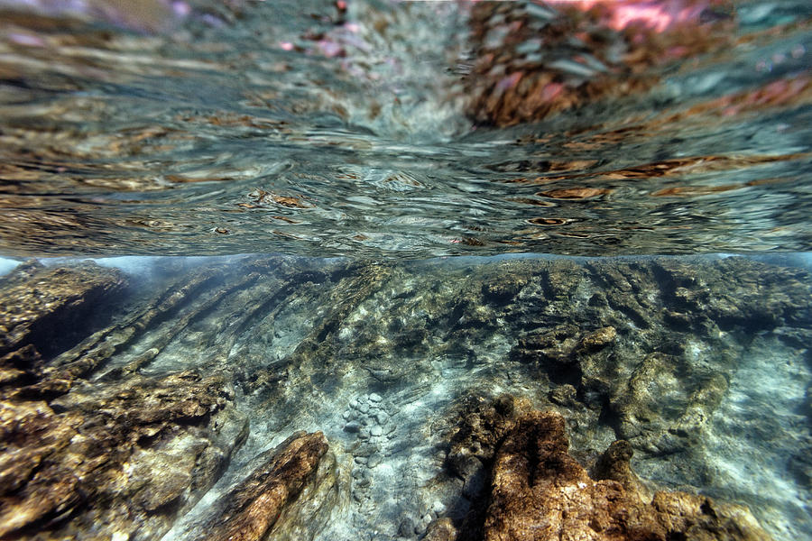Underwater Landscape Photograph - Underwater Landscape 2020 by Rico Besserdich