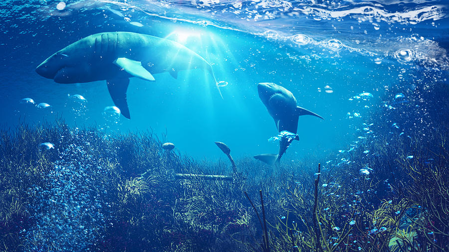 Underwater shark scene Photograph by Gremlin
