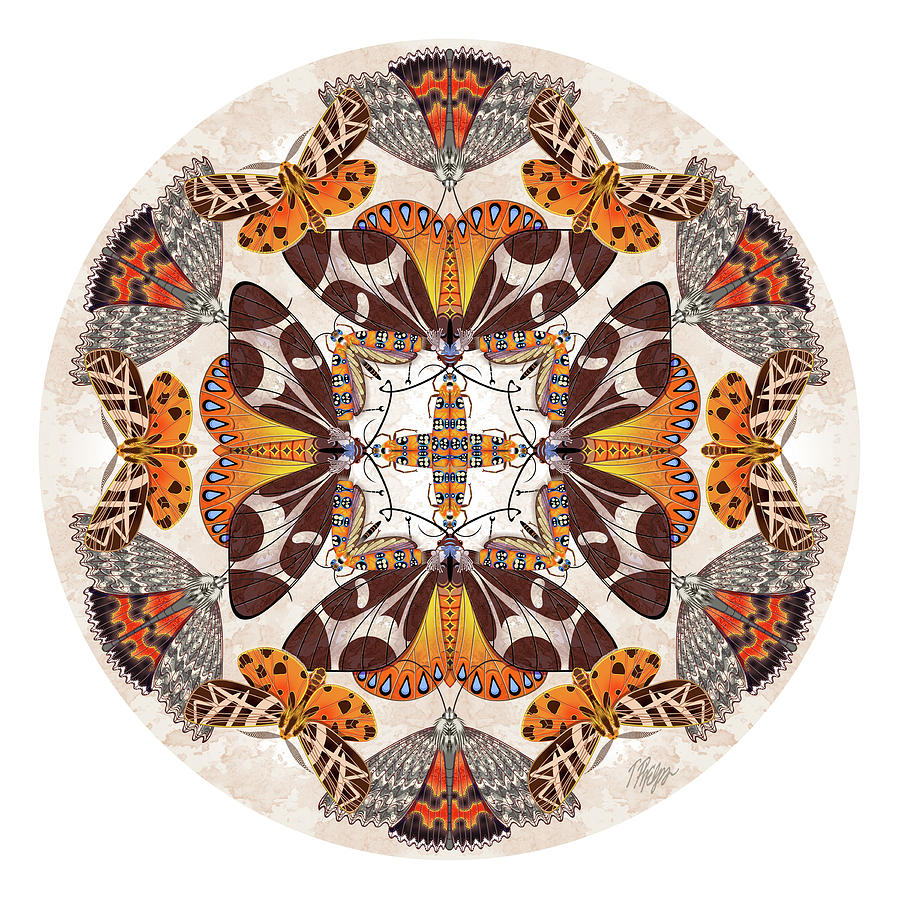 Underwing Moth Collection Mandala Digital Art by Tim Phelps - Fine Art ...