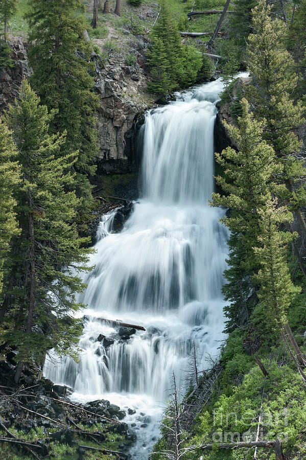 Undine Falls - Yellowstone National Park Photograph by Sandra Bronstein