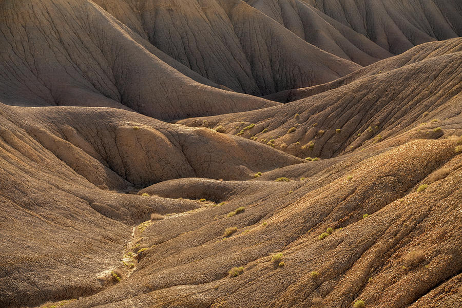 Undulate Photograph by Dustin LeFevre