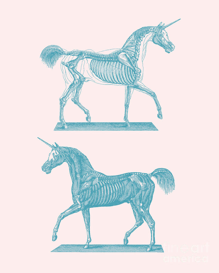 Unicorn Digital Art - Unicorn Anatomy In Soft Pastels by Madame Memento