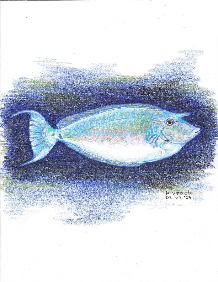 Unicorn Fish Drawing by Kenneth Stock Unicorn Fish Drawing by Kenneth Stock