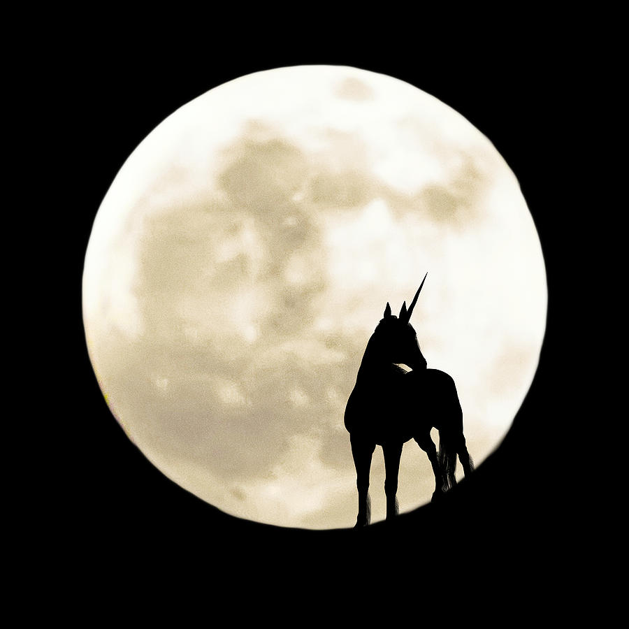 Unicorn Silhouette Digital Art by John Haldane