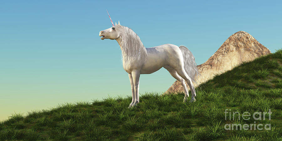 Unicorn Stallion Digital Art