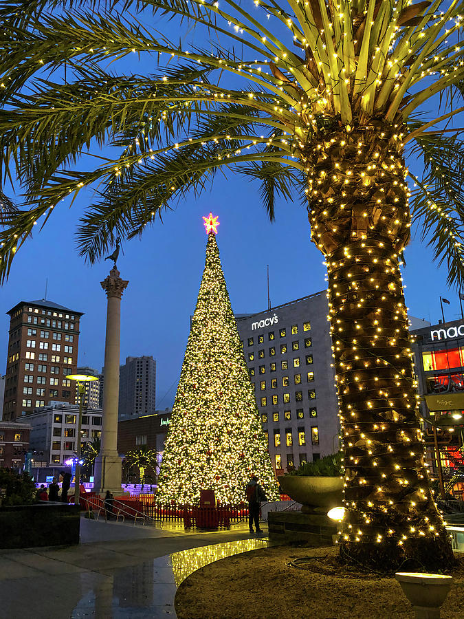 Union Square Christmas Tree Photograph by Bonnie Follett