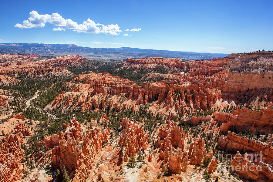 Unique and natural sandstone rock formations of Bryce Canyon National Park, USA Photograph by Jane Rix